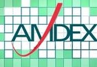 Amdex Development