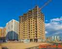 Янинский лес ход строительства на Апрель 2025