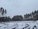 PRO.Счастье ход строительства на Март 2025