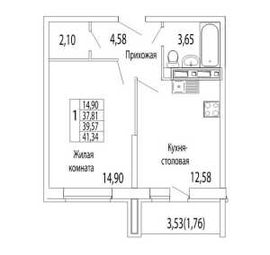 Планировка 1-комнатной квартиры в Видный берег
