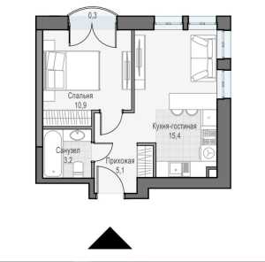 Планировка 1-комнатной квартиры в Достижение