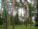 Коттеджный поселок Серебряный бор (Москва) Фото 6