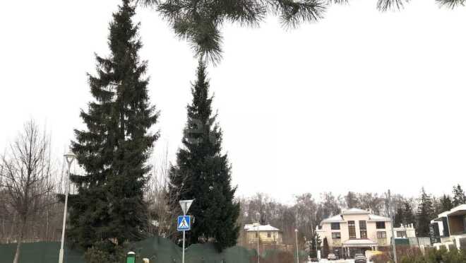 Продается участок за 170 000 000 ₽