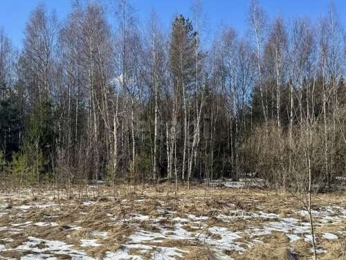 Участок, 20 сот, 2 500 000 ₽