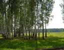 Коттеджный поселок Красный ручей Фото 5
