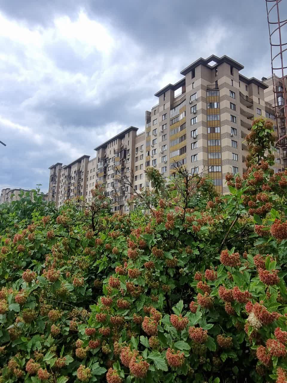 1 комн. квартира, 42.2 м², 6 этаж 