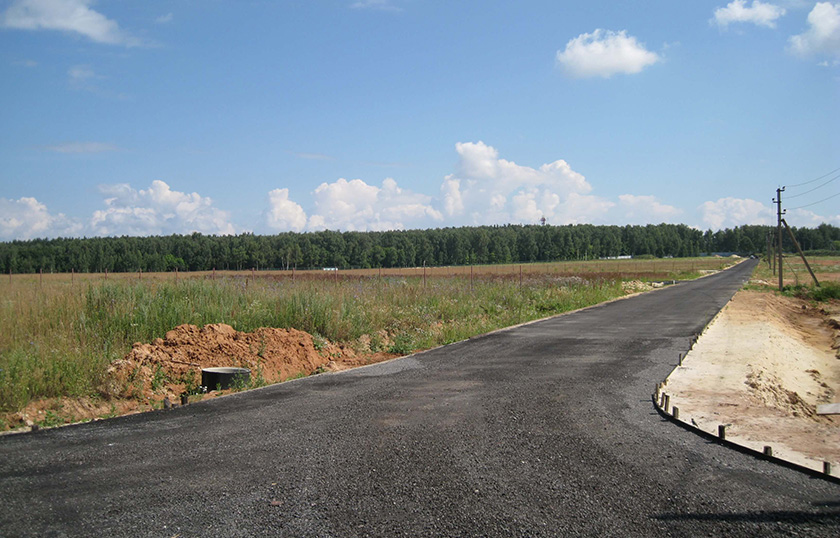 Дом в виде слона на новорязанском шоссе фото