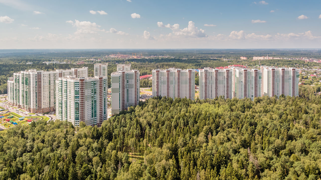 Фото в изумрудных холмах